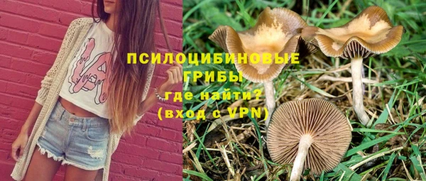 экстази Алексин