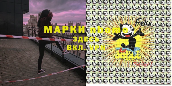 гашик Алексеевка